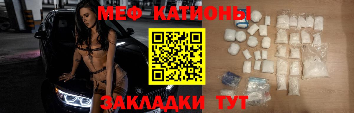 Новозыбков  МЯУ-МЯУ мяу мяу  Вход с VPN 