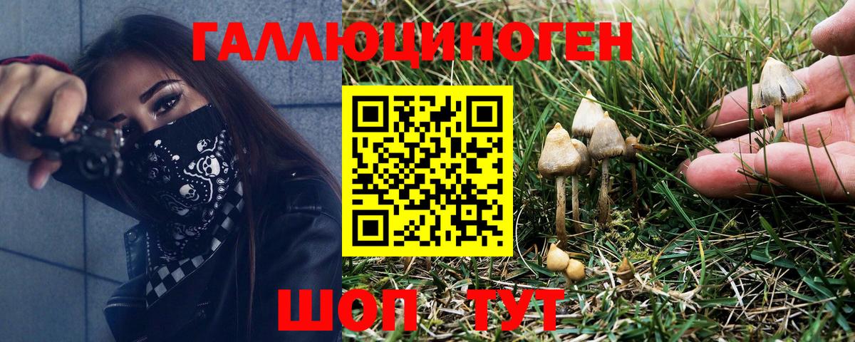 Псилоцибиновые грибы GOLDEN TEACHER Новозыбков