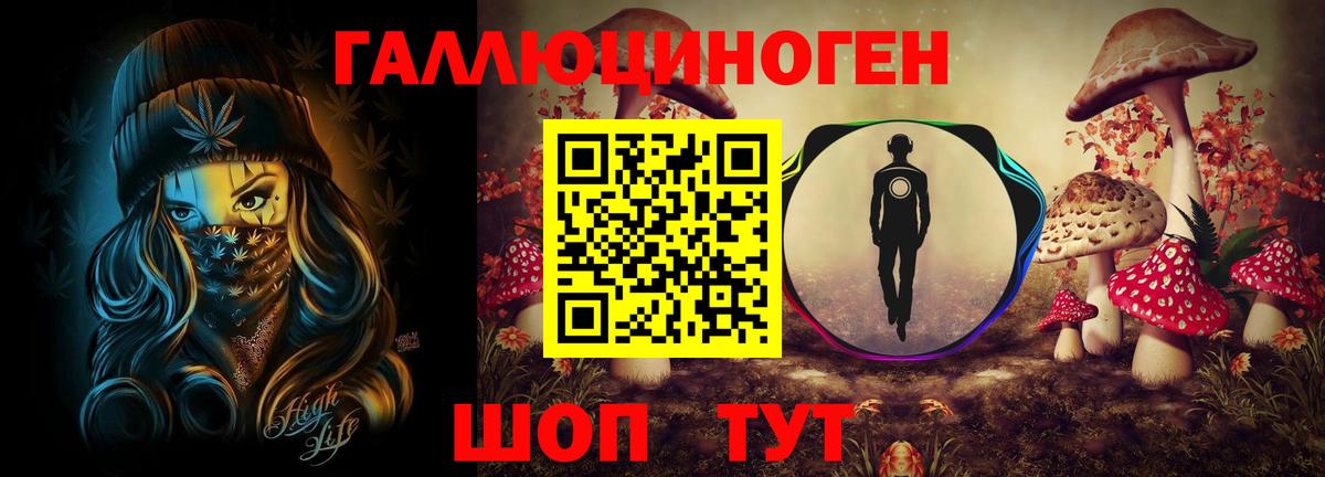 Новозыбков  как найти   Галлюциногенные грибы Magic Shrooms  Вход с VPN  Псилоцибиновые грибы Psilocybe 